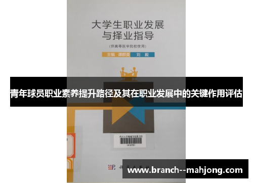 青年球员职业素养提升路径及其在职业发展中的关键作用评估